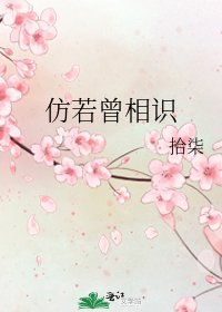 《仿若曾相識》